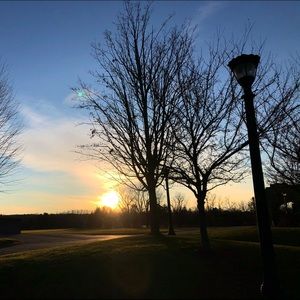 Meet your Posher, Evangeline